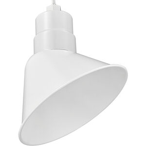 R Series 1 Light 10.00 inch Shade